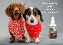08 LUCAA+ Probiotic Allergen-Free Spray.webp