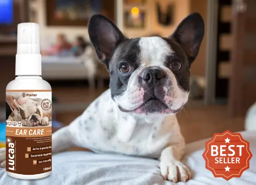 LUCAA+ Pet Probiotic Ear Care - 100ml Spray 04 Malta.webp