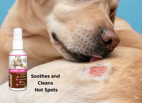 04 LUCAA+ Pet Probiotic Dermo (Wound) Care - 100ml Spray Malta.webp