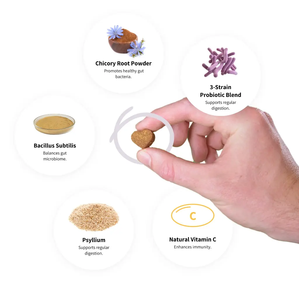 Digestive-probiotics-ingredients[1].webp