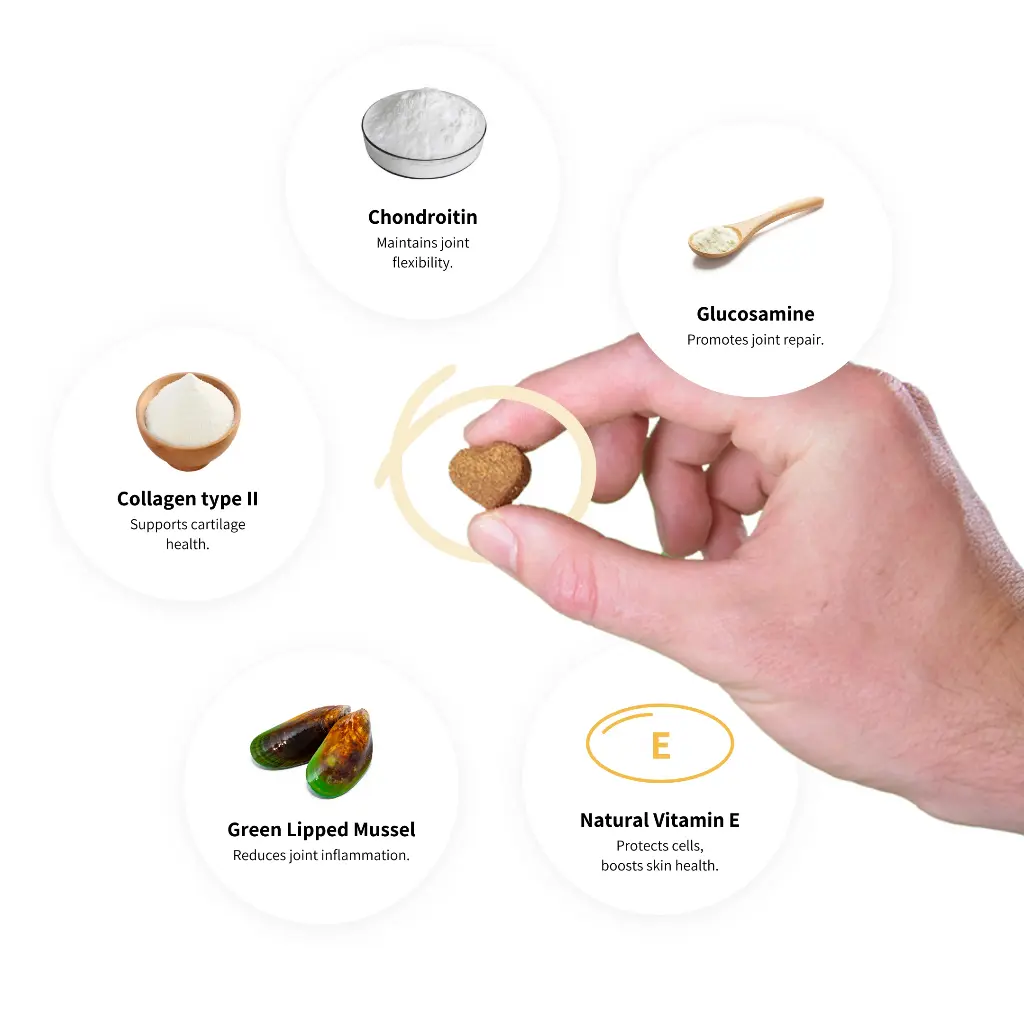 hip-joint-ingredients[1].webp