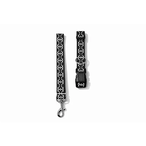 Pet Dog Collar & Leash Set – Stylish, Durable Everyday Walk Set