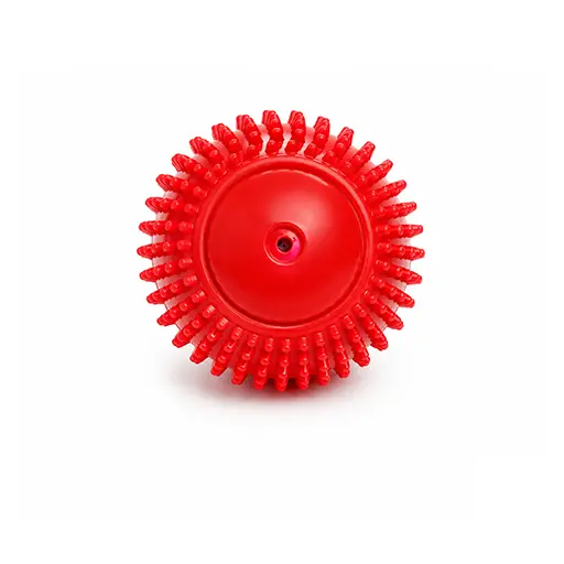 Spiky Squeaky Massage Pet Ball