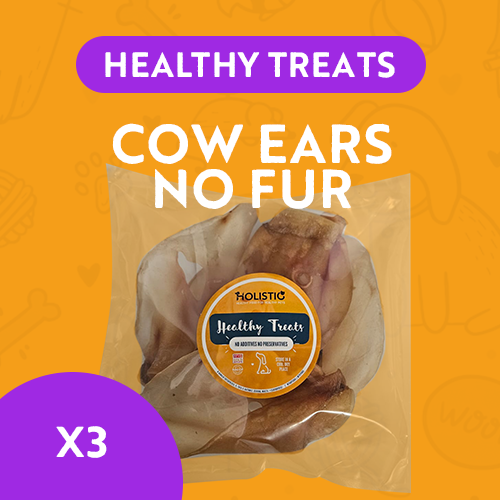 Healthy Treats - Cow Ears no Fur Dehydrated x4