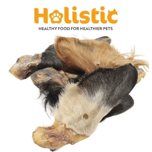 Healthy Treats - Cow Ears with Fur Dehydrated x3