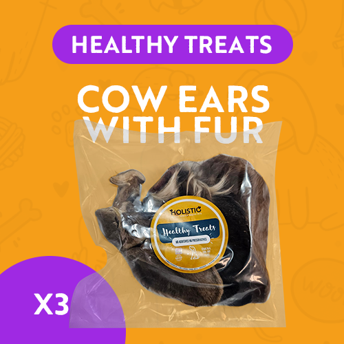Healthy Treats - Cow Ears with Fur Dehydrated x3