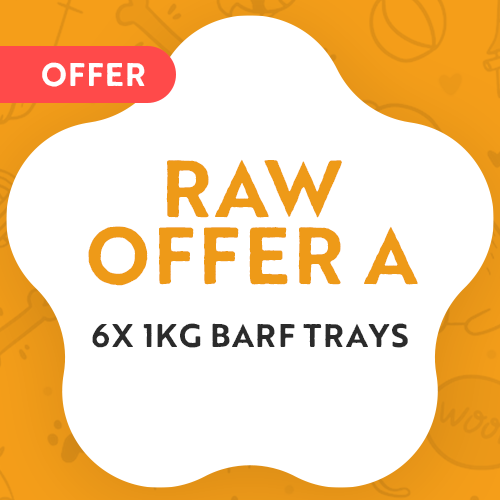 Holistic Offer A - Barf 6X 1KG
