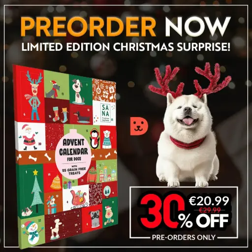 Advent Calendar for Dogs
